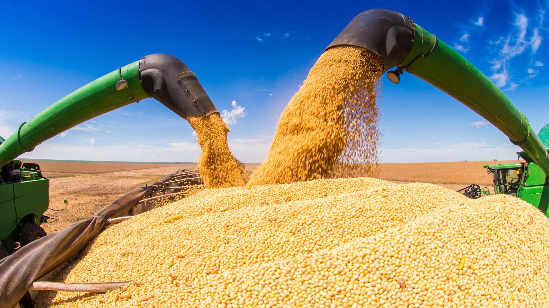 Inteligencia de Datos para el Agro